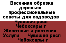 Весенняя обрезка деревьев,  профессиональные советы для садоводов - Чувашия респ., Чебоксары г. Животные и растения » Услуги   . Чувашия респ.,Чебоксары г.